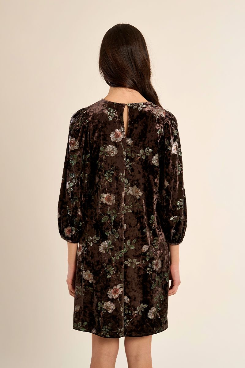 Molly Bracken Velvet Dress Black T2294EH